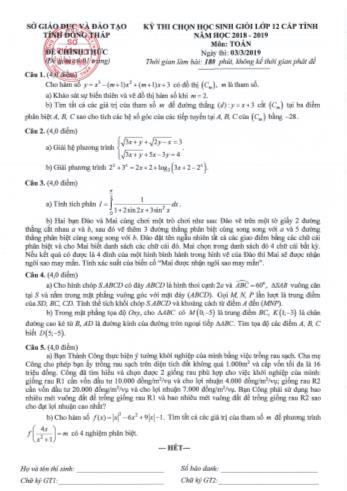 Đề thi chọn học sinh giỏi Lớp 12 cấp tỉnh môn Toán - Sở GD&ĐT Đồng Tháp (Có đáp án)