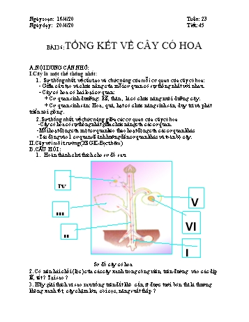 Giáo án Sinh học Lớp 6 - Tuần 23