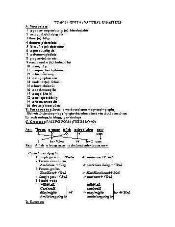 Giáo án Tiếng Anh Lớp 8 - Tuần 24