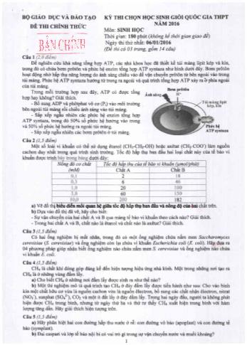 Kỳ thi chọn học sinh giỏi cấp Quốc gia THPT môn Sinh học