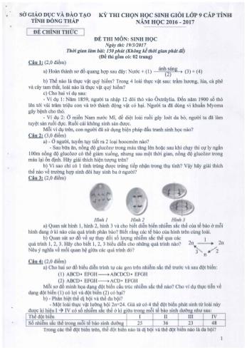 Kỳ thi chọn học sinh giỏi cấp tỉnh môn Sinh học Lớp 9 - Sở GD&ĐT Đồng Tháp (Có hướng dẫn chấm)