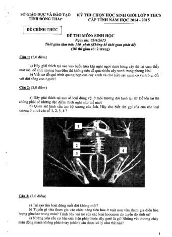 Kỳ thi chọn học sinh giỏi cấp tỉnh Lớp 9 môn Sinh học - Sở GD&ĐT tỉnh Đồng Tháp (Có hướng dẫn chấm)