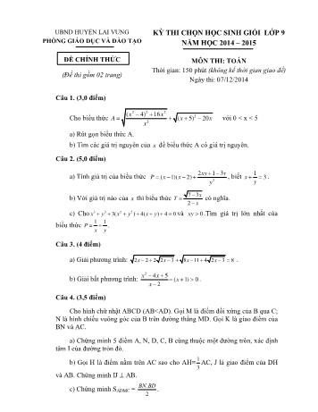 Kỳ thi chọn học sinh giỏi Khối 9 môn Toán - Phòng GD&ĐT Lai Vung (Có hướng dẫn chấm)