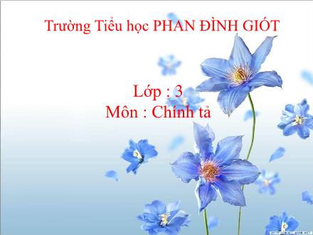 Bài giảng Chính tả Lớp 3 - Người mẹ - Trường Tiểu học Phan Đình Giót