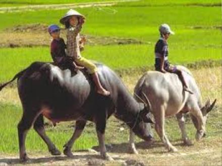 Bài giảng Chính tả Lớp 3 - Tuần 11: Vẽ quê hương - Trường Tiểu học Phan Đình Giót