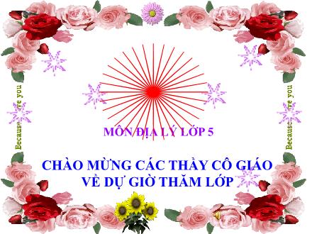 Bài giảng Địa lí Lớp 5 - Bài 14: Giao thông vận tải - Trường Tiểu học Phan Đình Giót