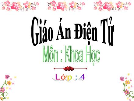 Bài giảng Khoa học Lớp 4 - Âm thanh - Trường Tiểu học Phan Đình Giót