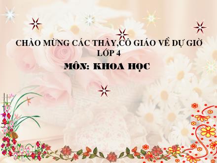 Bài giảng Khoa học Lớp 4 - Ăn nhiều rau và quả chín. Sử dụng thực phẩm sạch và an toàn - Trường Tiểu học Phan Đình Giót