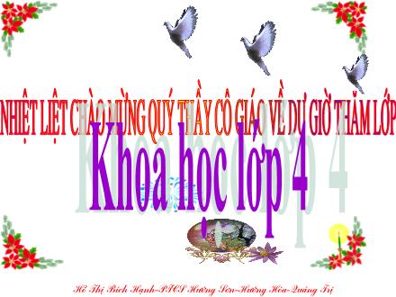 Bài giảng Khoa học Lớp 4 - Ba thể của nước - Hồ Thị Bích Hạnh