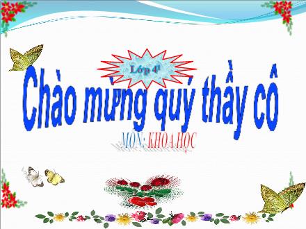 Bài giảng Khoa học Lớp 4 - Bài 29: Tiết kiệm nước - Trường Tiểu học Phan Đình Giót
