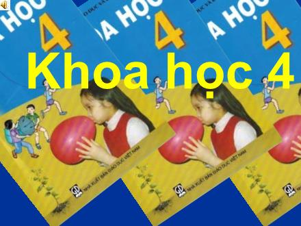 Bài giảng Khoa học Lớp 4 - Các chất dinh dưỡng trong thức ăn - Trường Tiểu học Phan Đình Giót