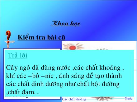 Bài giảng Khoa học Lớp 4 - Chuỗi thức ăn trong tự nhiên - Trường Tiểu học Phan Đình Giót