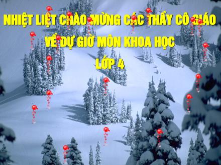 Bài giảng Khoa học Lớp 4 - Con người cần gì để sống? - Trường Tiểu học Phan Đình Giót