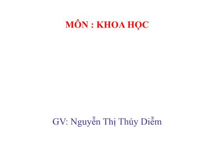Bài giảng Khoa học Lớp 4 - Gió nhẹ, gió mạnh. Phòng chống bão - Nguyễn Thị Thúy Diễm