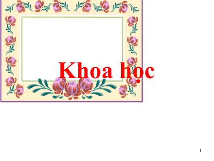 Bài giảng Khoa học Lớp 4 - Phòng một số bệnh lây qua đường tiêu hoá - Trường Tiểu học Phan Đình Giót