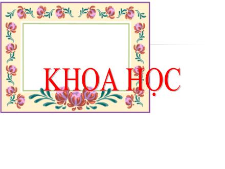 Bài giảng Khoa học Lớp 4 - Sử dụng hợp lý các chất béo và muối ăn - Trường Tiểu học Phan Đình Giót