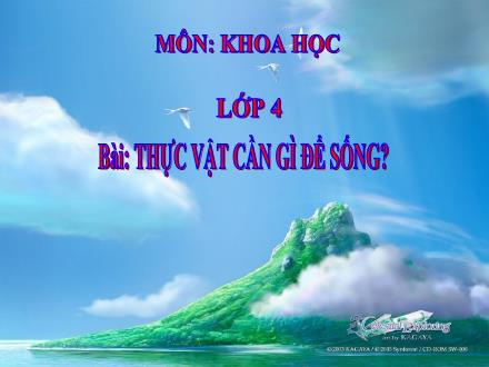 Bài giảng Khoa học Lớp 4 - Thực vật cần gì để sống? - Trường Tiểu học Phan Đình Giót