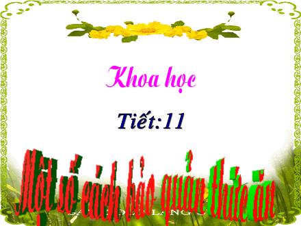 Bài giảng Khoa học Lớp 4 - Tiết 11: Một số cách bảo quản thức ăn - Trường Tiểu học Phan Đình Giót