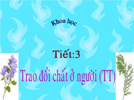 Bài giảng Khoa học Lớp 4 - Tiết 3: Trao đổi chất ở người (Tiếp theo) - Trường Tiểu học Phan Đình Giót