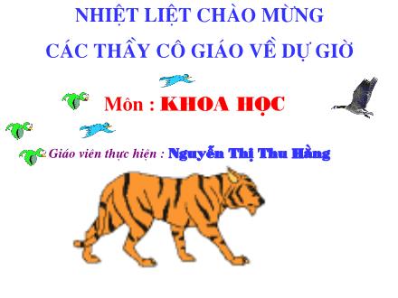 Bài giảng Khoa học Lớp 4 - Trao đổi chất ở động vật - Nguyễn Thu Hằng