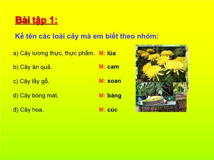 Bài giảng Luyện từ và câu Lớp 2 - Từ ngữ về cây cối. Đặt và trả lời câu hỏi Để làm gì?. Dấu chấm, dấu phẩy - Trường Tiểu học Phan Đình Giót