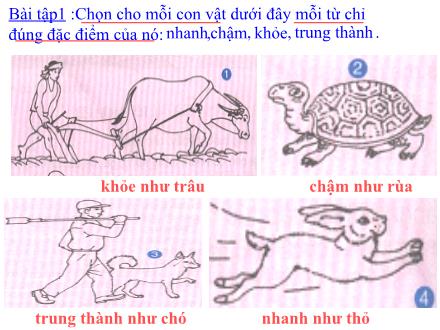Bài giảng Luyện từ và câu Lớp 2 - Từ ngữ về vật nuôi. Câu kiểu Ai thế nào? - Trường Tiểu học Phan Đình Giót
