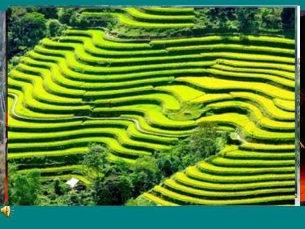 Bài giảng Tập đọc Khối 3 - Tuần 14: Nhớ Việt Bắc - Trường Tiểu học Phan Đình Giót