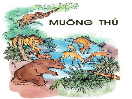 Bài giảng Tập đọc Lớp 2 - Bác sĩ sói - Trường Tiểu học Phan Đình Giót