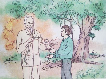 Bài giảng Tập đọc Lớp 2 - Chiếc rễ đa tròn - Trường Tiểu học Phan Đình Giót