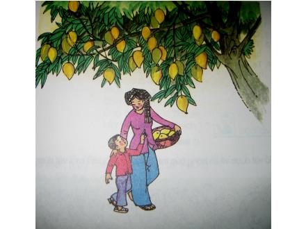 Bài giảng Tập đọc Lớp 2 - Tuần 11: Cây xoài của ông em - Trường Tiểu học Phan Đình Giót