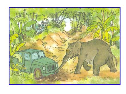 Bài giảng Tập đọc Lớp 2 - Voi nhà - Trường Tiểu học Phan Đình Giót