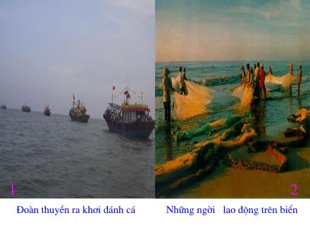 Bài giảng Tập đọc Lớp 4 - Đoàn thuyền đánh cá - Trường Tiểu học Phan Đình Giót
