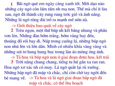 Bài giảng Tập làm văn Khối 4 - Cấu tạo bài văn miêu tả - Trường Tiểu học Phan Đình Giót