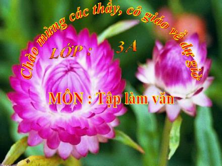 Bài giảng Tập làm văn Lớp 3 - Thảo luận về bảo vệ môi trường - Trường Tiểu học Phan Đình Giót