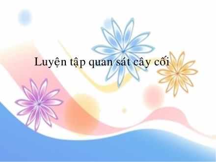 Bài giảng Tập làm văn Lớp 4 - Luyện tập quan sát cây cối - Trường Tiểu học Phan Đình Giót
