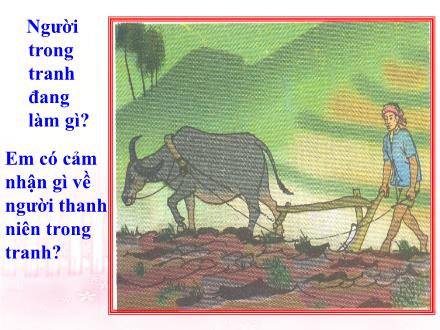 Bài giảng Tập làm văn Lớp 5 - Tuần 12: Cấu tạo của bài văn tả người - Trường Tiểu học Phan Đình Giót
