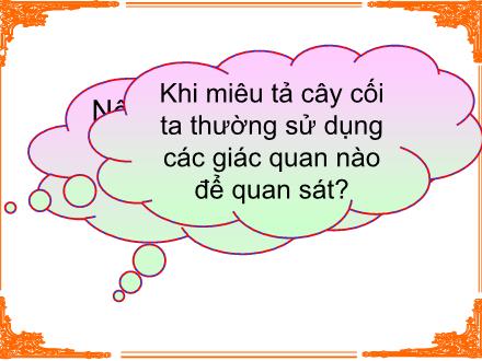 Bài giảng Tập làm văn Lớp 5 - Tuần 27: Ôn tập miêu tả cây cối - Trường Tiểu học Phan Đình Giót