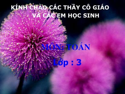 Bài giảng Toán Lớp 3 - Chia số có ba chữ số cho số có một chữ số - Trường Tiểu học Phan Đình Giót