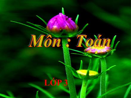 Bài giảng Toán Lớp 3 - Ôn tập bốn phép tính trong phạm vi 100 000 - Trường Tiểu học Phan Đình Giót
