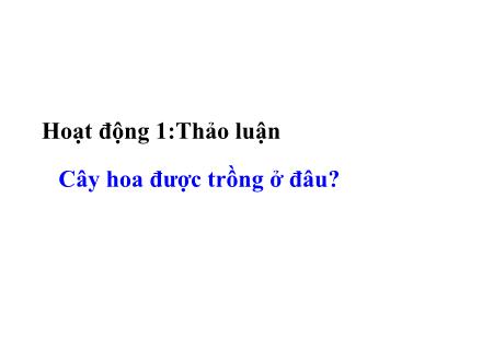 Bài giảng Tự nhiên và Xã hội Lớp 1 - Bài 23: Cây hoa - Trường Tiểu học Phú Thượng