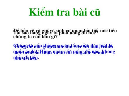 Bài giảng Tự nhiên và Xã hội Lớp 3 - Bài 12: Cơ quan thần kinh - Trường Tiểu học Phan Đình Giót