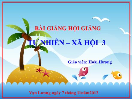 Bài giảng Tự nhiên và Xã hội Lớp 3 - Bài 19: Các thế hệ trong một gia đình - Trường Tiểu học Phan Đình Giót