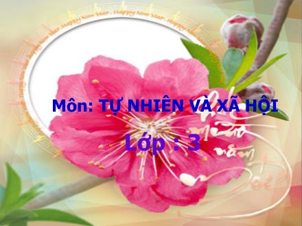 Bài giảng Tự nhiên và Xã hội Lớp 3 - Bài 54: Thú - Trường Tiểu học Phan Đình Giót