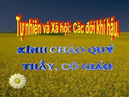 Bài giảng Tự nhiên và Xã hội Lớp 3 - Bài 65: Các đới khí hậu