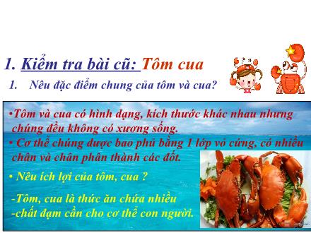 Bài giảng Tự nhiên và Xã hội Lớp 3 - Cá - Trường Tiểu học Phan Đình Giót