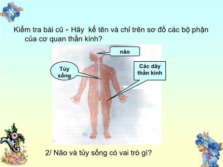 Bài giảng Tự nhiên và Xã hội Lớp 3 - Hoạt động thần kinh - Trường Tiểu học Phan Đình Giót
