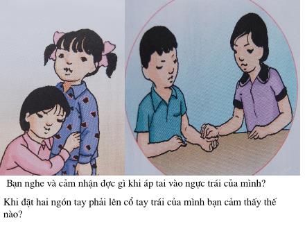 Bài giảng Tự nhiên và Xã hội Lớp 3 - Hoạt động tuần hoàn - Trường Tiểu học Phan Đình Giót