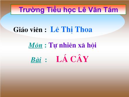Bài giảng Tự nhiên và Xã hội Lớp 3 - Lá cây - Lê Thị Thoa