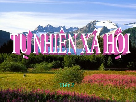 Bài giảng Tự nhiên và Xã hội Lớp 3 - Nên thở như thế nào - Trường Tiểu học Phan Đình Giót