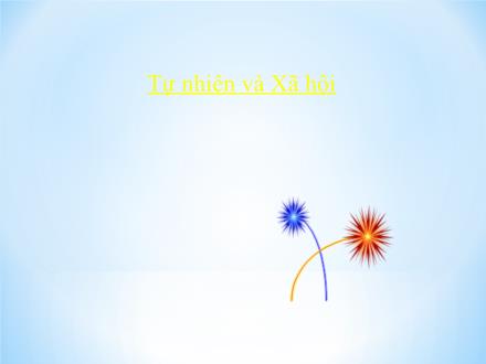 Bài giảng Tự nhiên và Xã hội Lớp 3 - Vệ sinh cơ quan bài tiết nước tiểu - Trường Tiểu học Phan Đình Giót